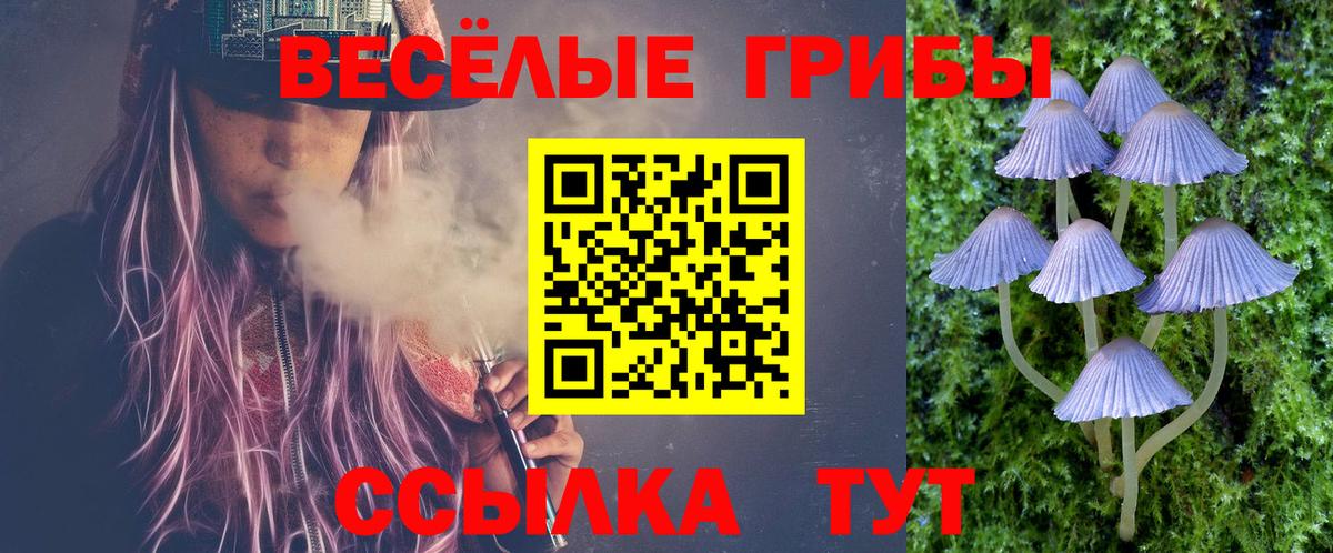 Ленинск-Кузнецкий  Галлюциногенные грибы Cubensis  Вход с VPN 