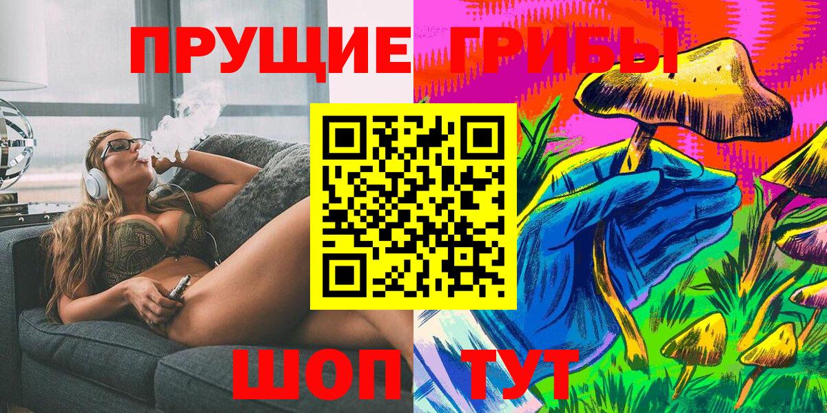 Галлюциногенные грибы Psilocybe Ленинск-Кузнецкий